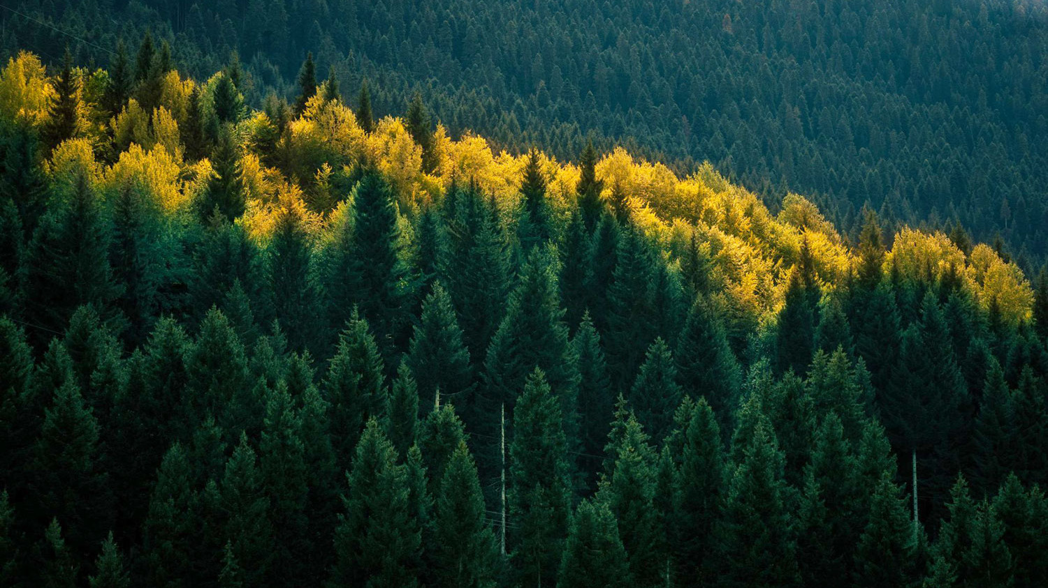 Autumn in Svaneti