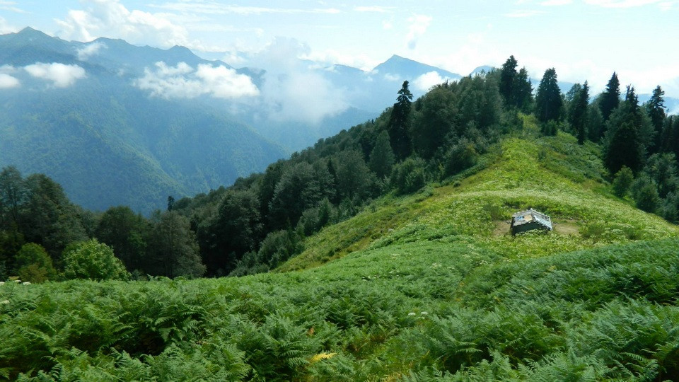 Natiputu Hut