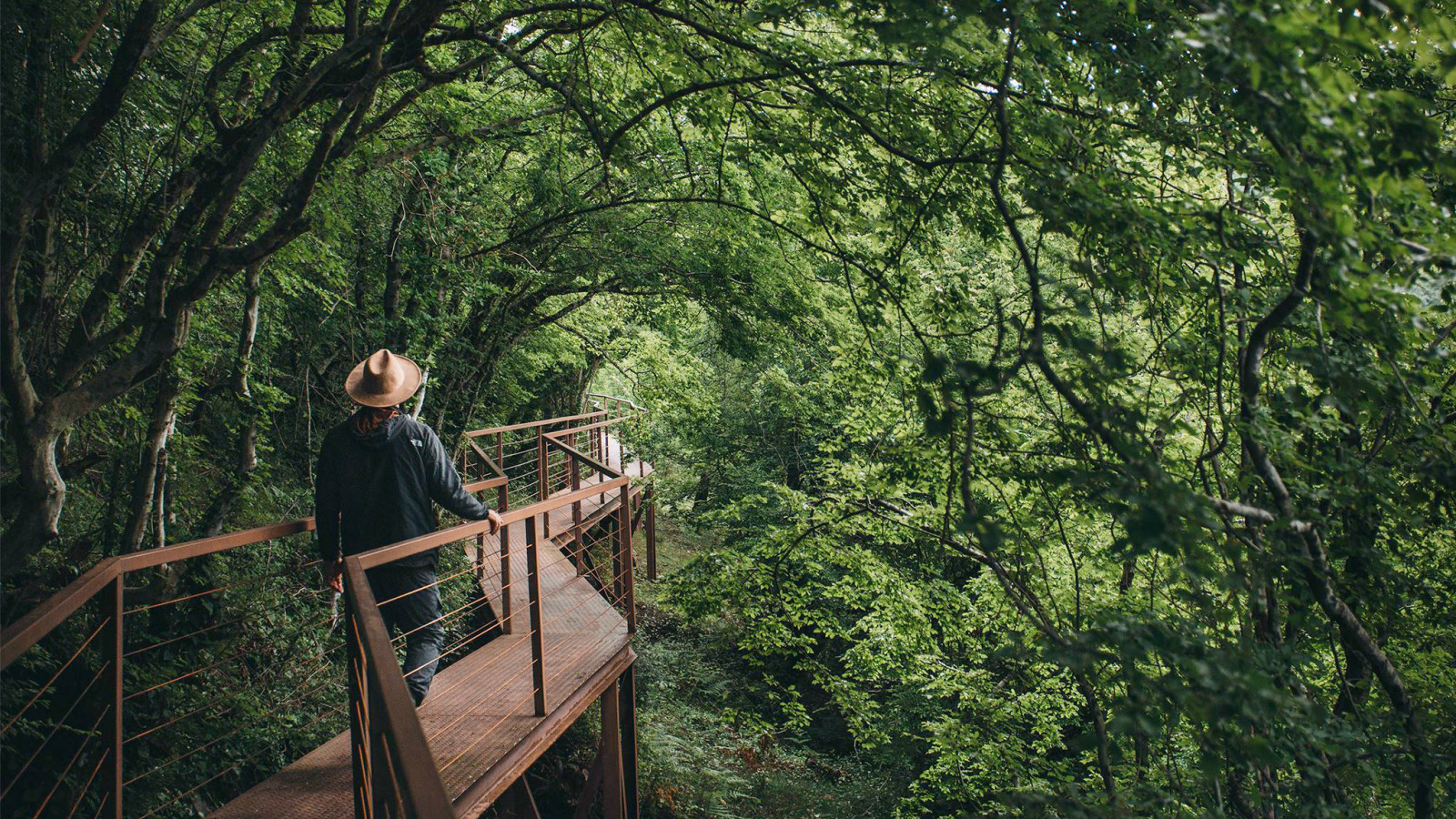 Okatse Canyon dadiani trail