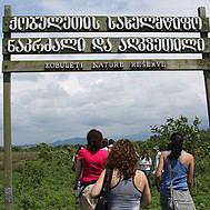 Kobuleti Protected Areas