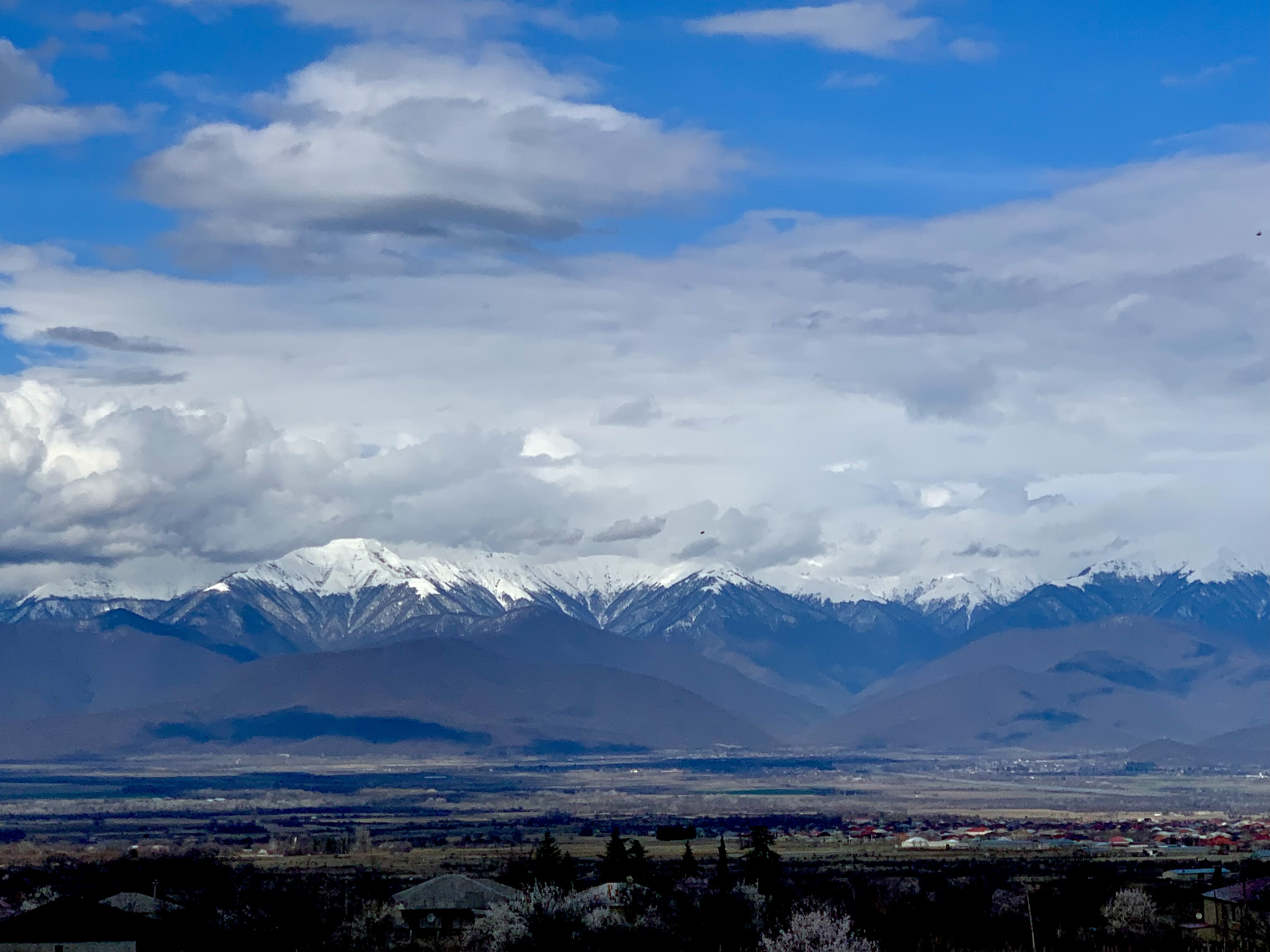 Discover Georgia: A Safe, Beautiful and Welcoming Destination