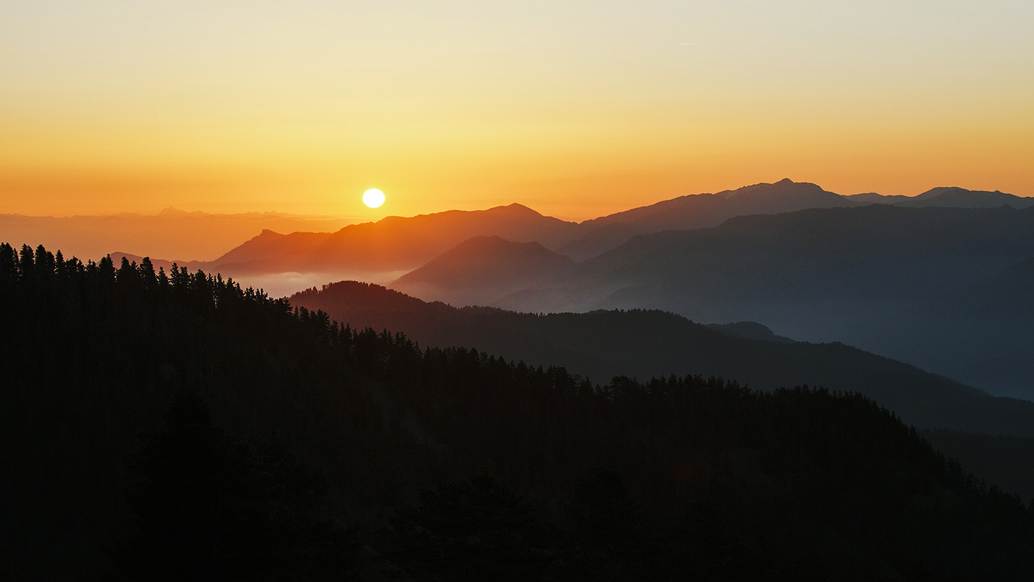 Borjomi-Kharagauli National Park