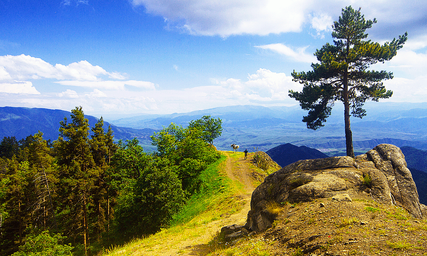 Borjomi-Kharagauli National Park, Georgia