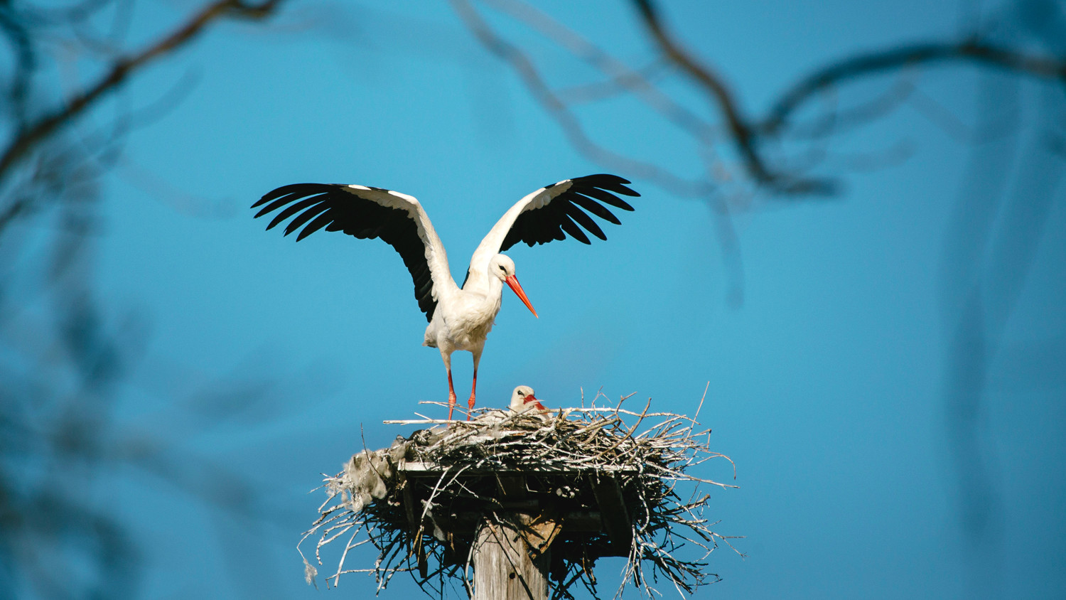 Javakheti National Park