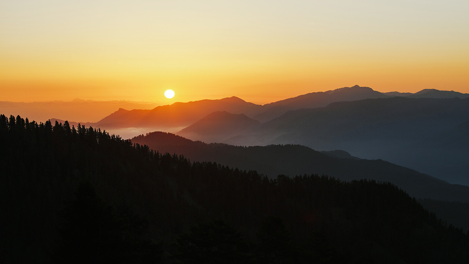 Borjomi-Kharagauli National Park