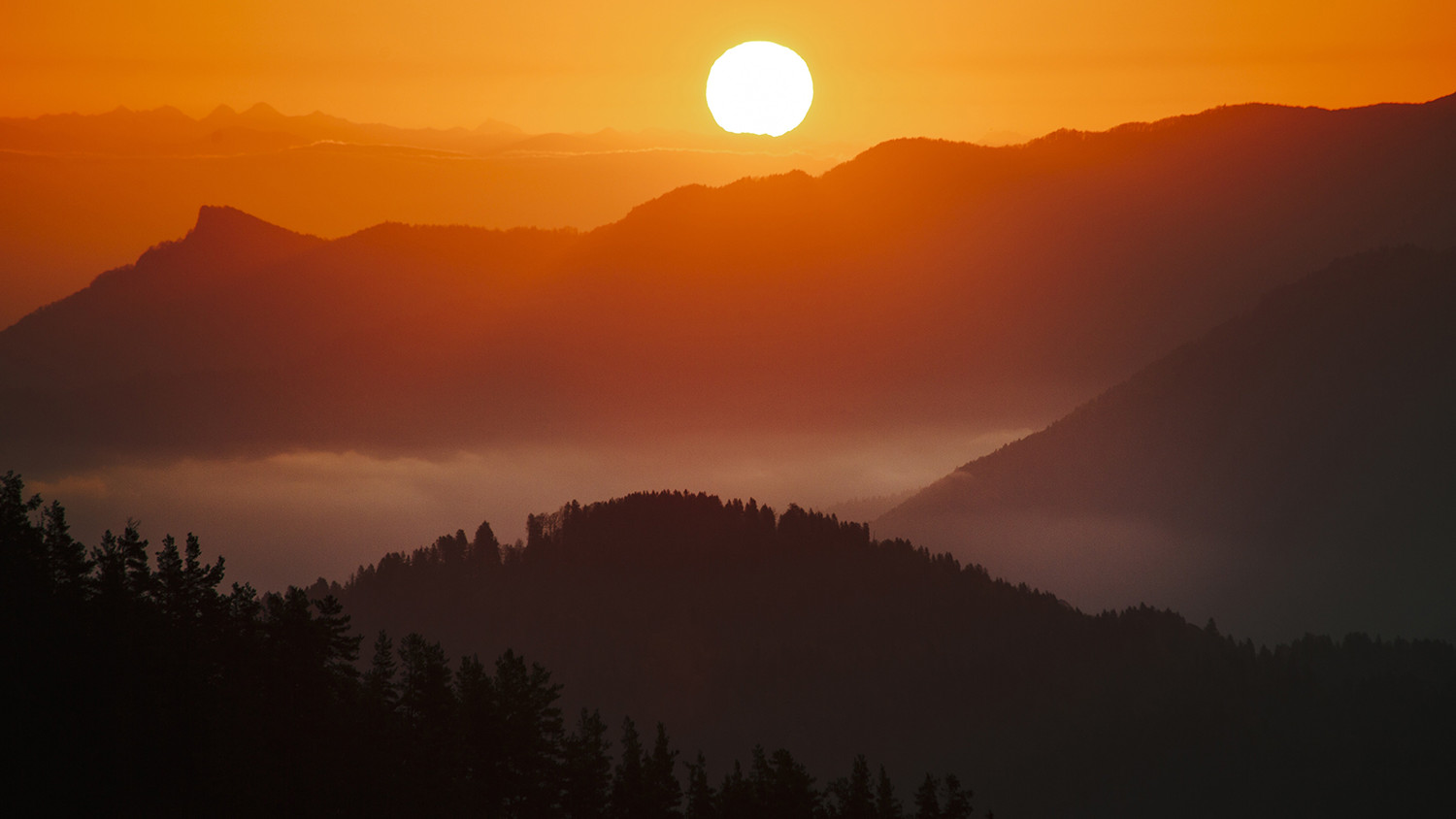 Borjomi-Kharagauli National Park