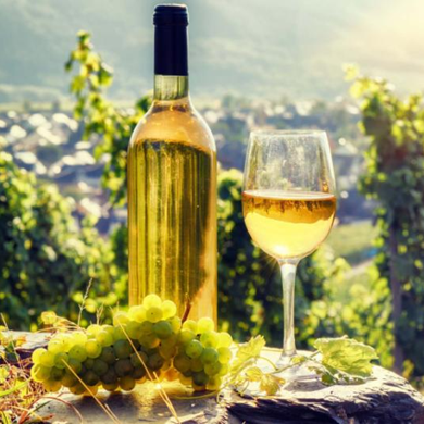 Wine Tour to Kakheti