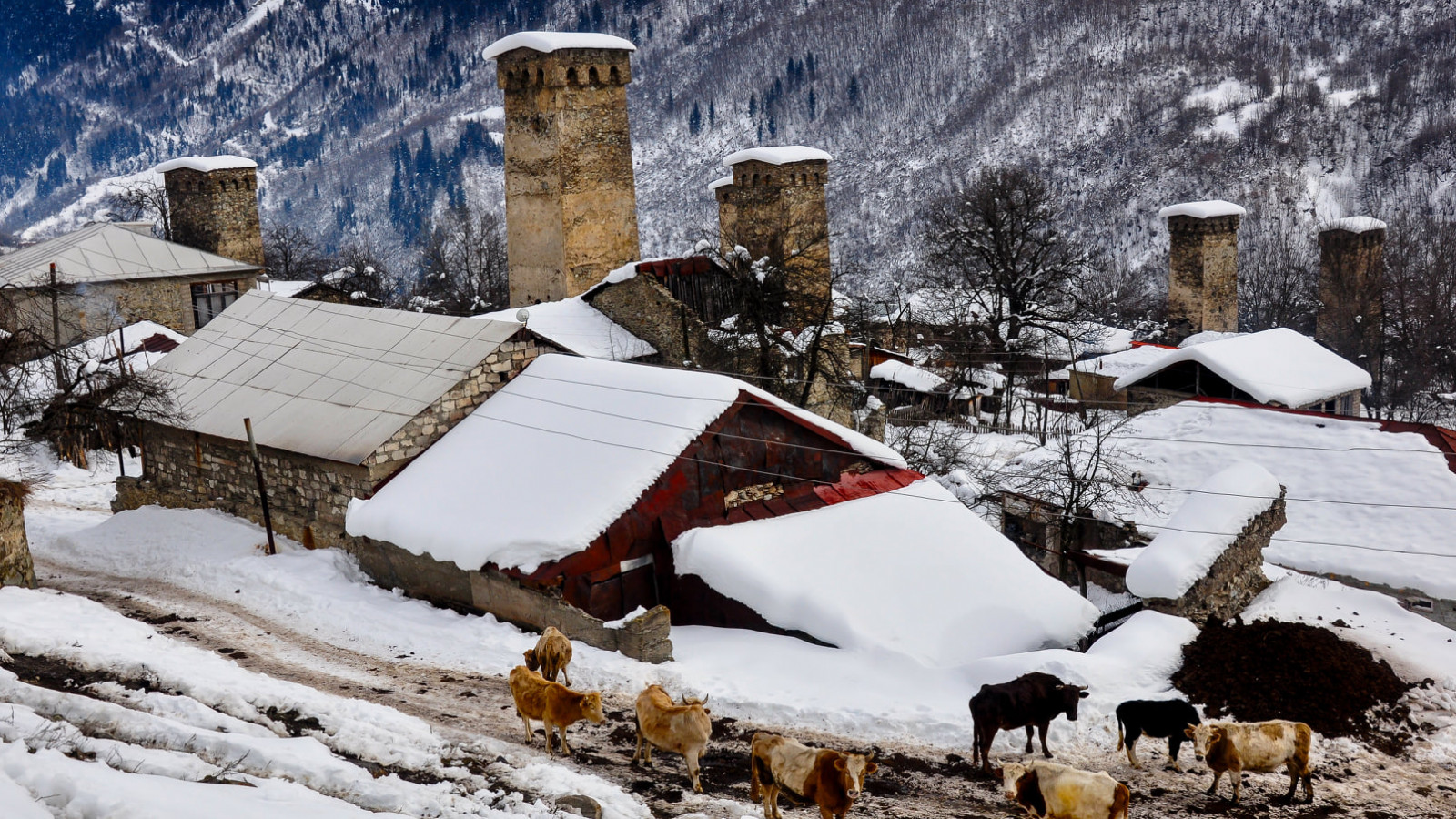 Lenjeri village, Svaneti, Georgia