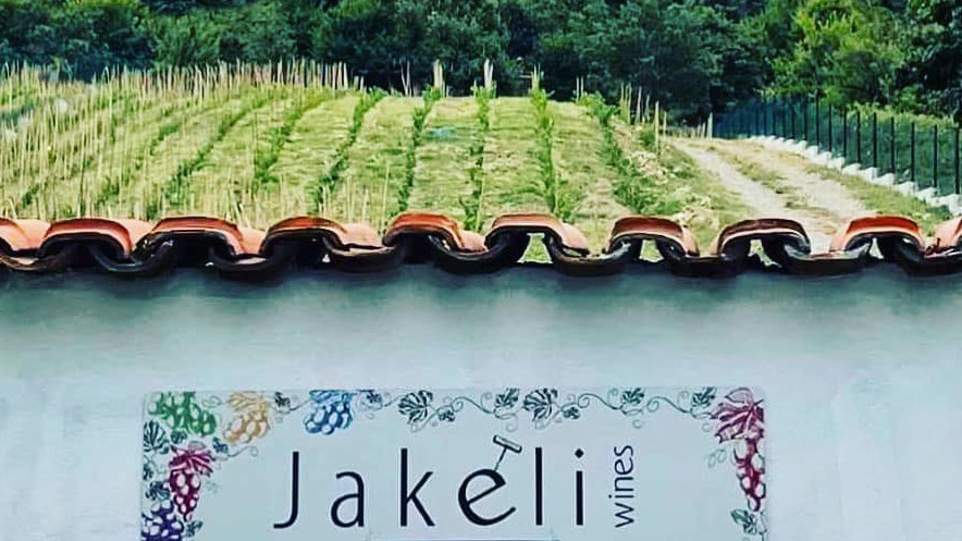 Weinberge der Familie Jakeli