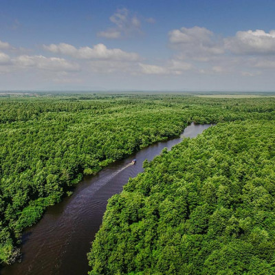 Colchis Wetlands