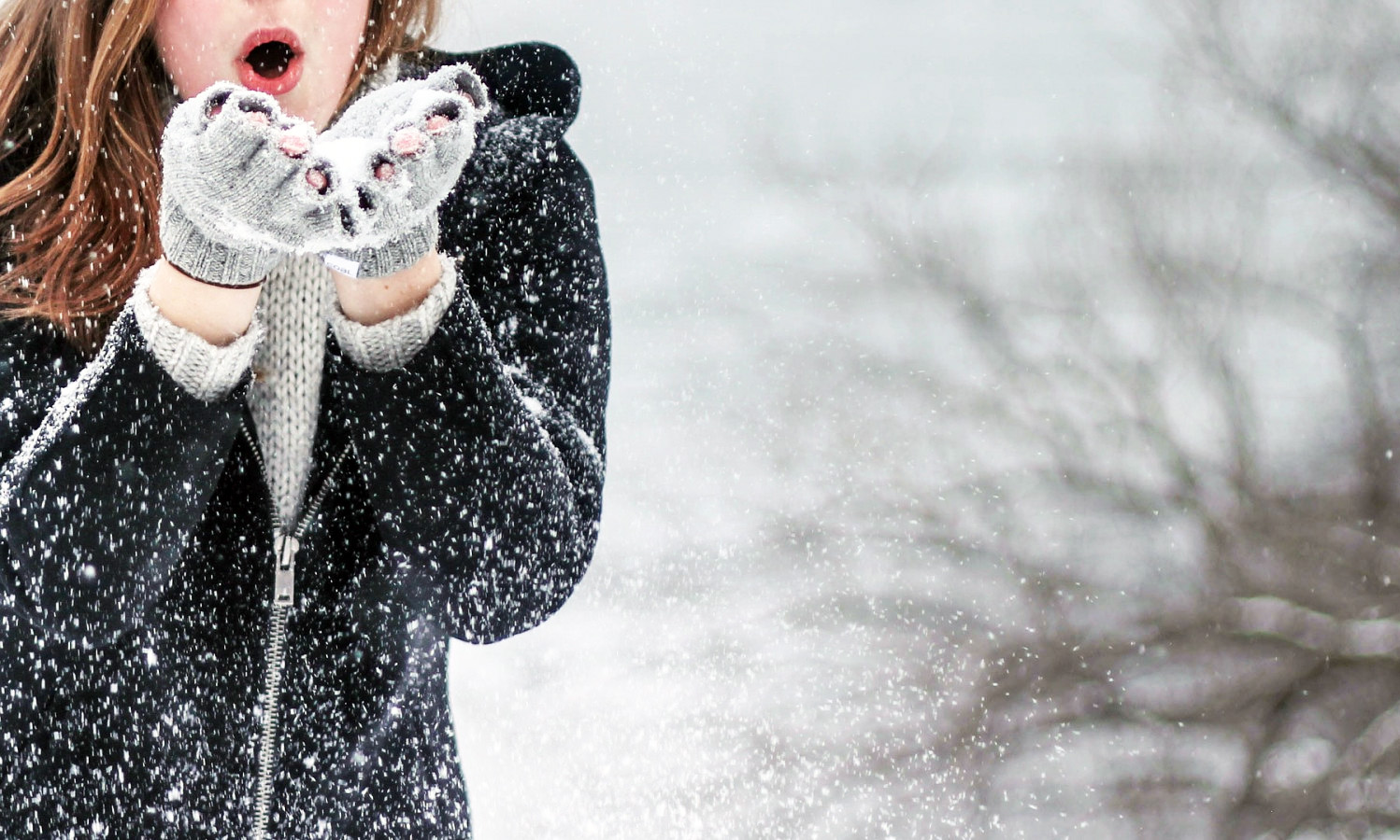 Зимние туры в Грузию