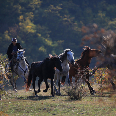 Lost Ridge Inn, Brauerei und Ranch