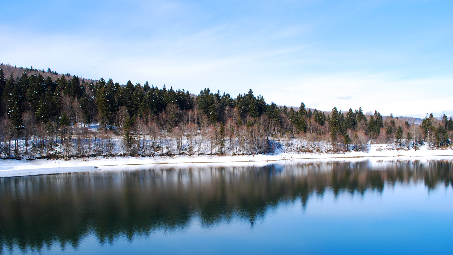 Shaori nature reserve in winter