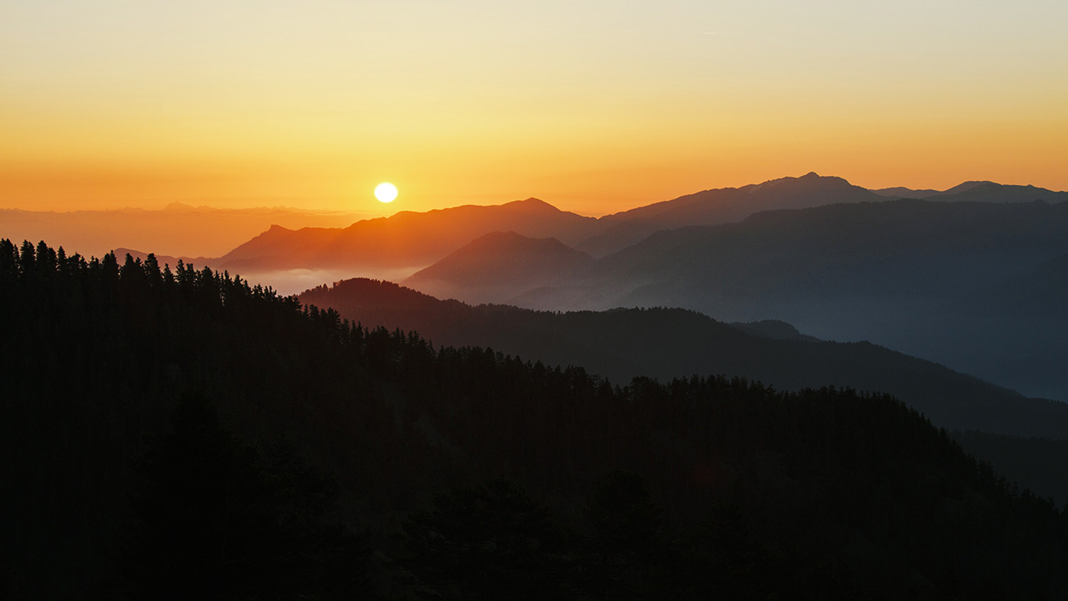 Borjomi-Kharagauli National Park