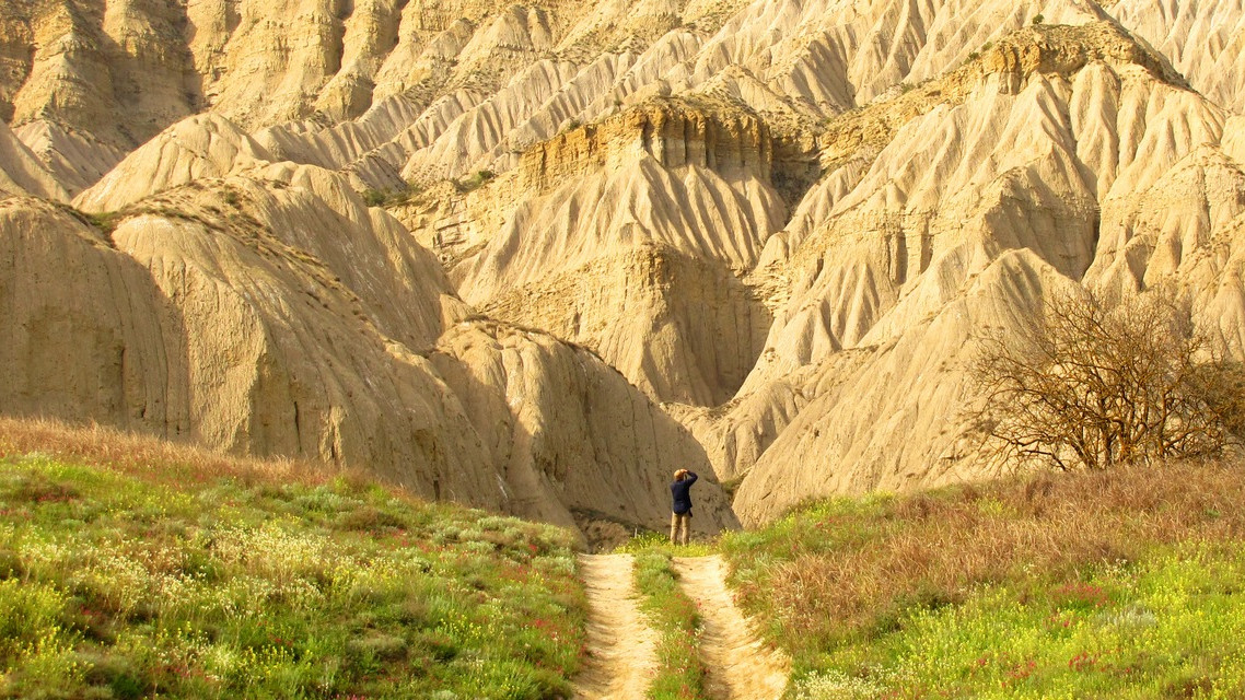 Vashlovani Landscape