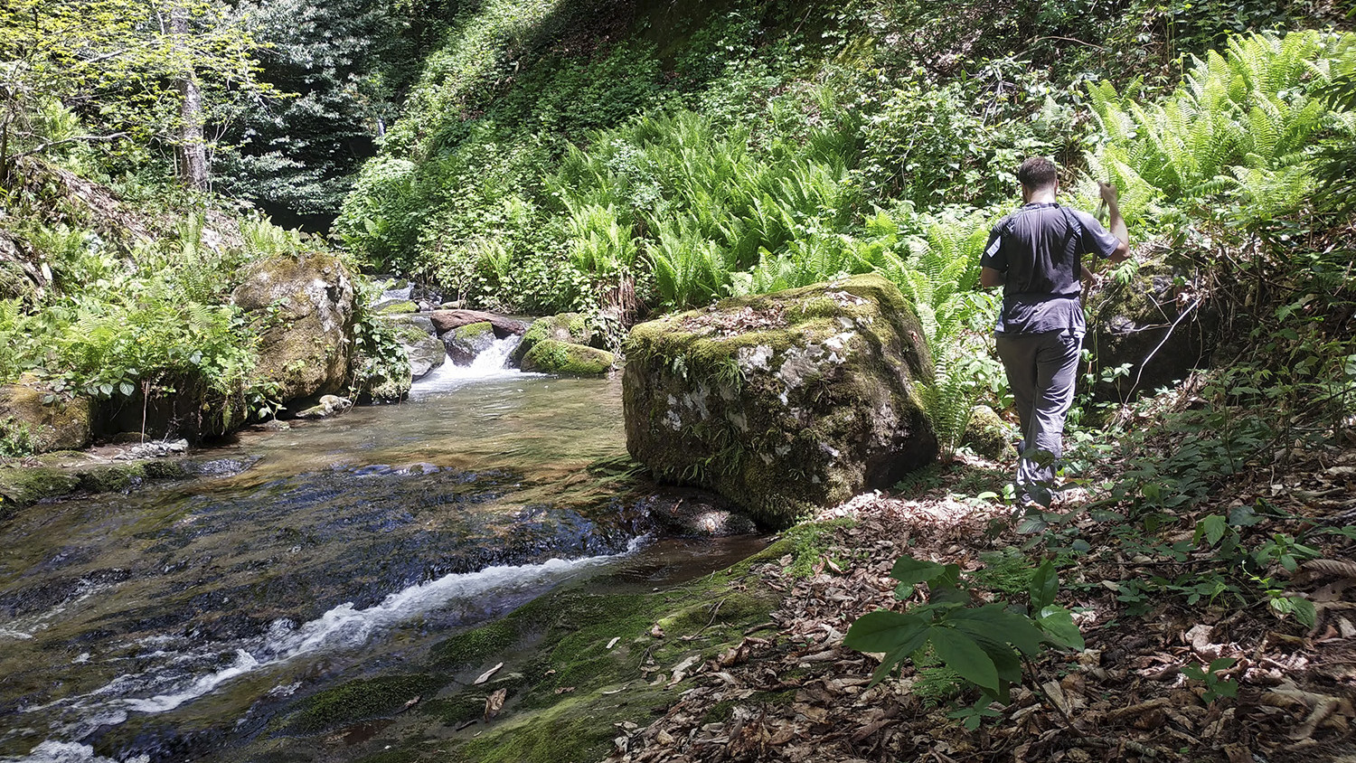 Machakhela-Fluss & Nationalpark, Georgia