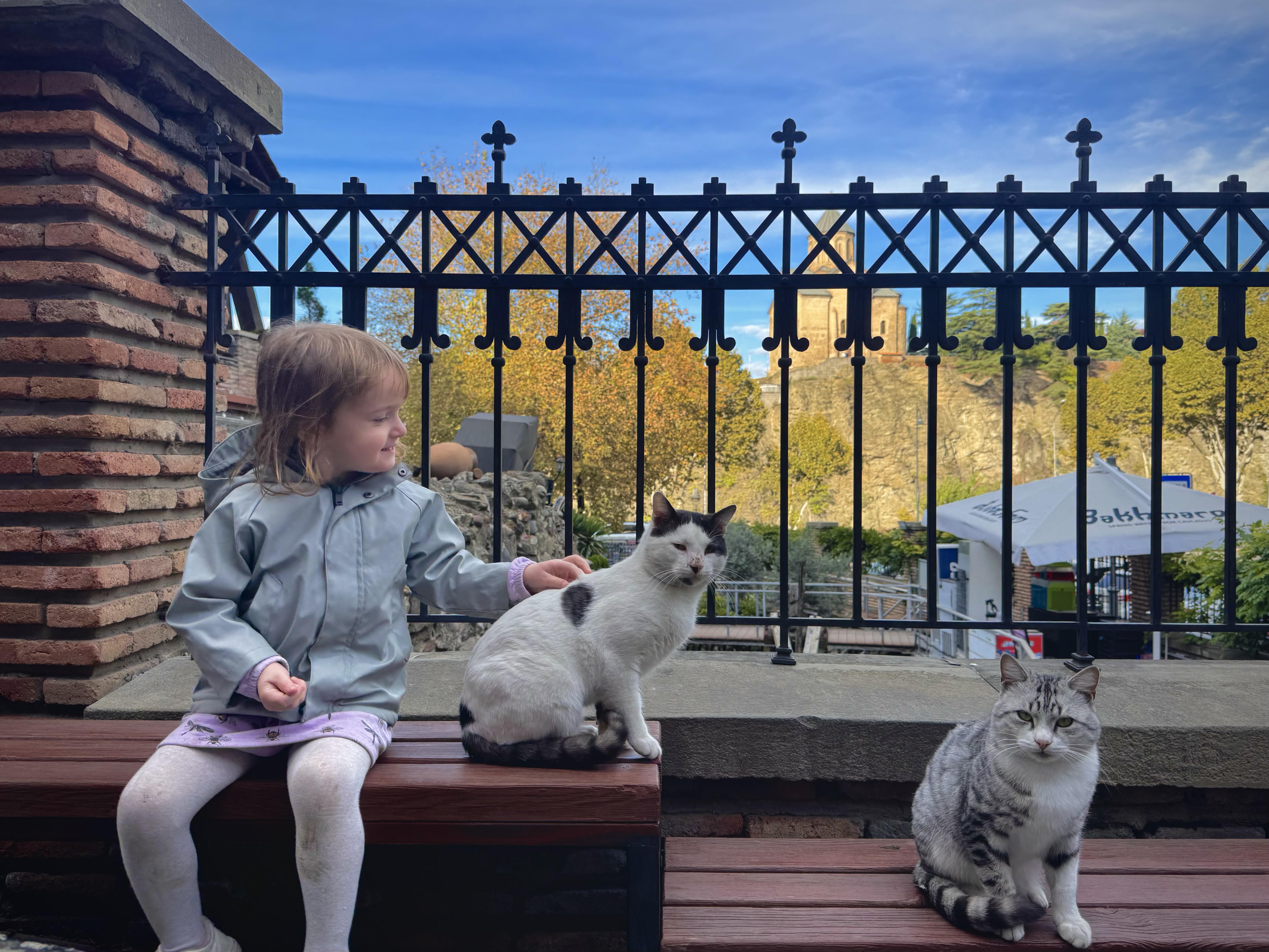 Traveling to Animal-Friendly Georgia