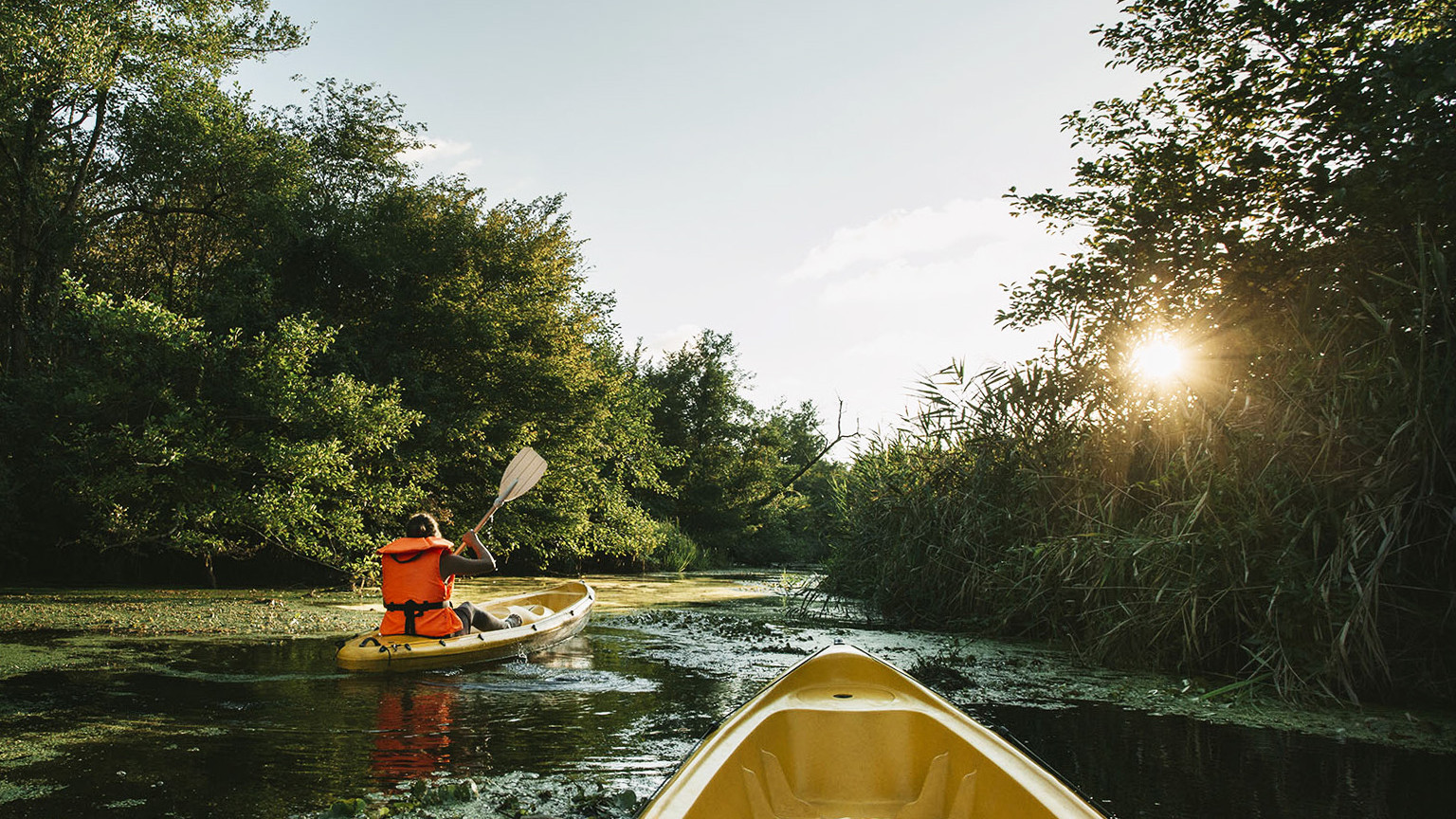 Kayaking in Kolkheti National Park, Georgia