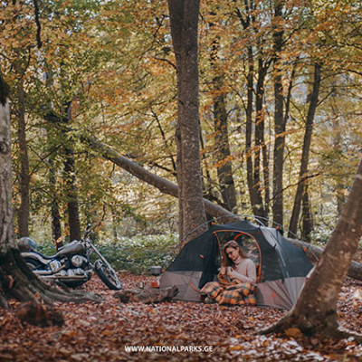 Tbilisi National Park