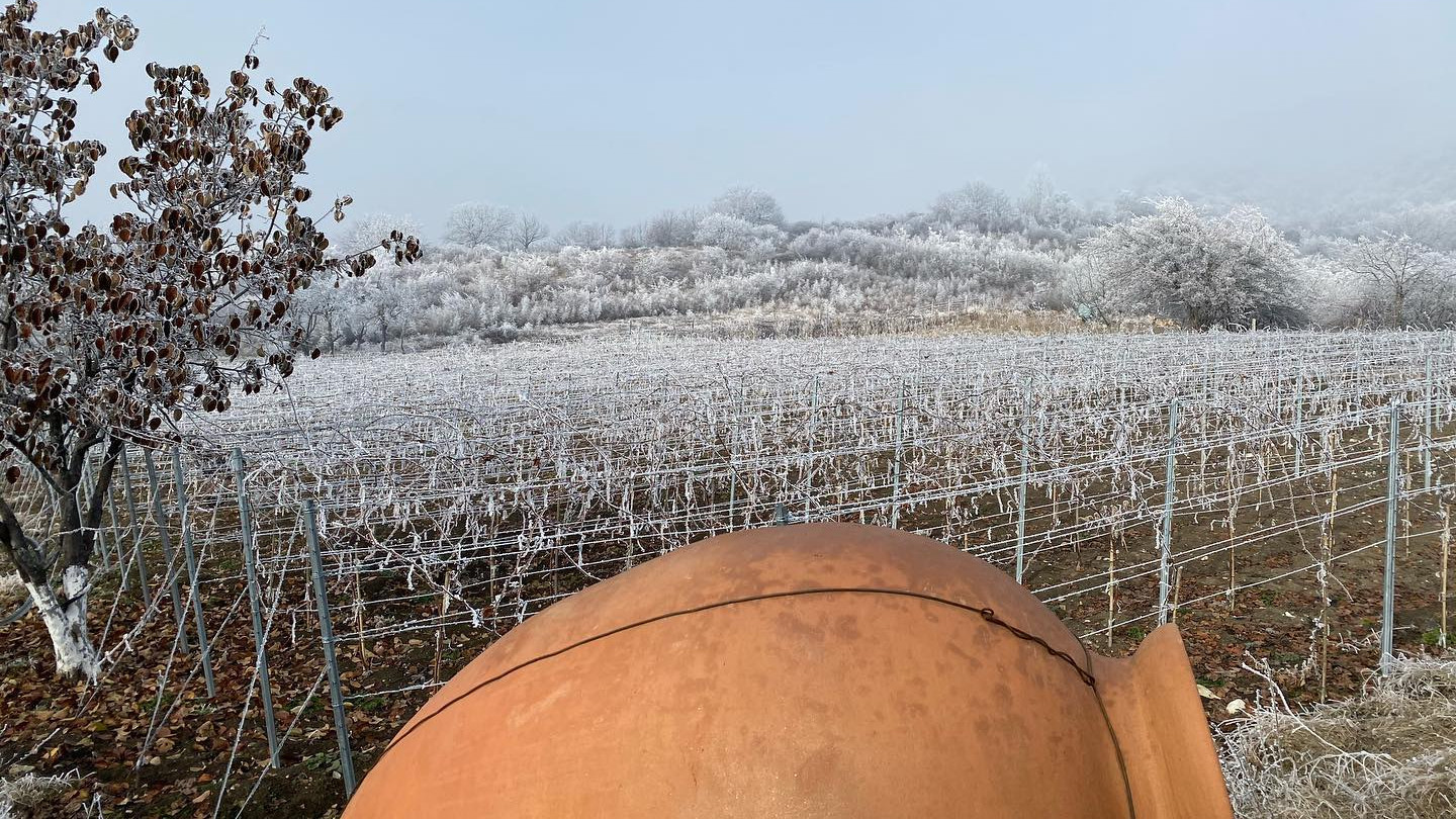 Winter in Vellino, Georgia