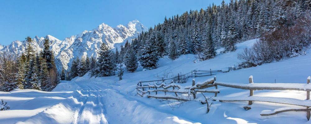 Winterurlaub auf der ganzen Welt: Swanetien, Georgien