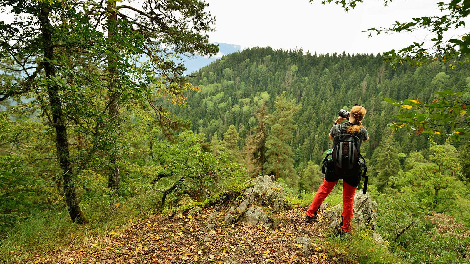 Borjomi-Kharagauli National Park