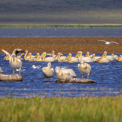 Javakheti National Park