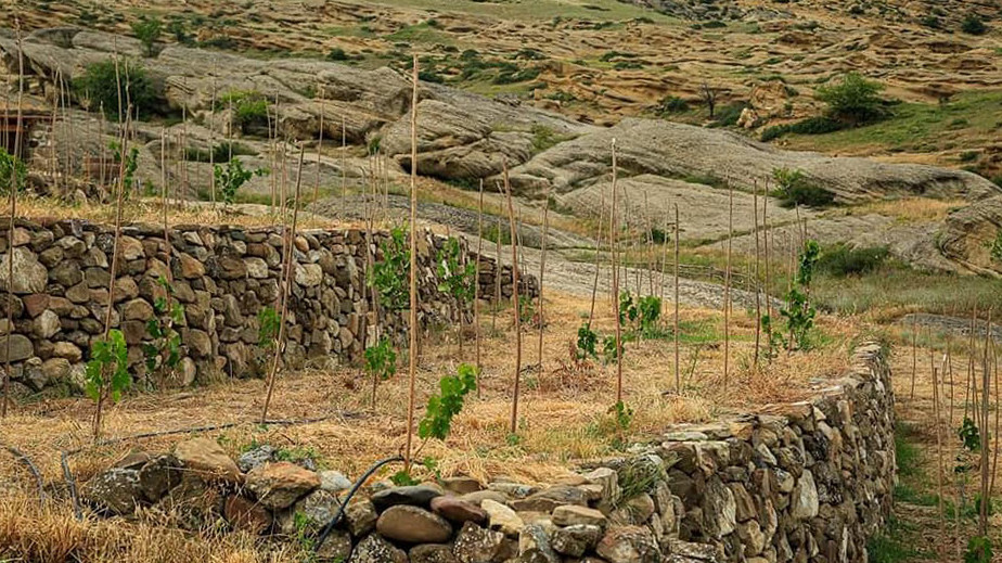 Uplistsikhe-Höhlen, Weinberg, Georgien, Autor Paata