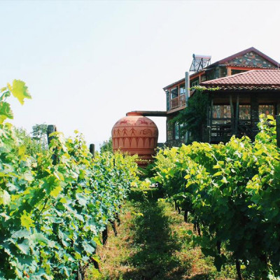 Twins Wine Cellar