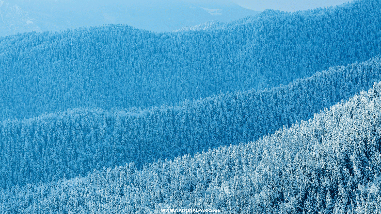 Borjomi-Kharagauli-National-Park