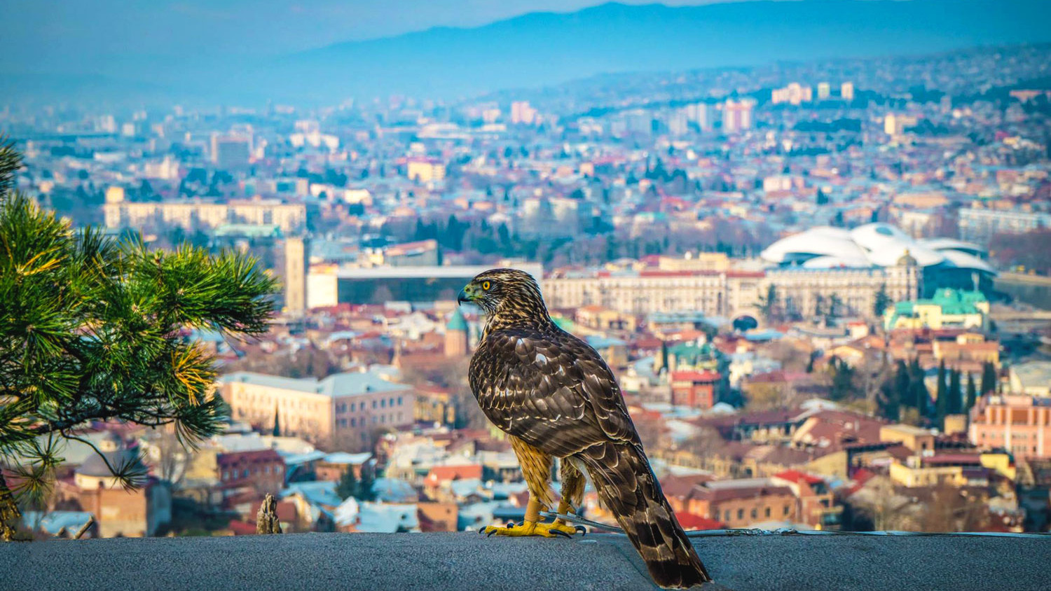 Tiflis, Georgien