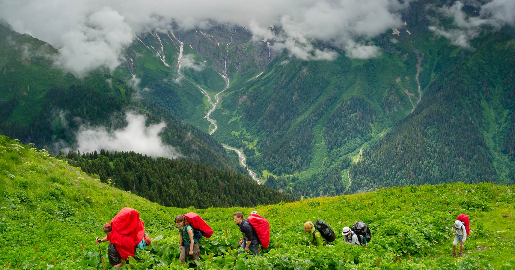 Group Tours