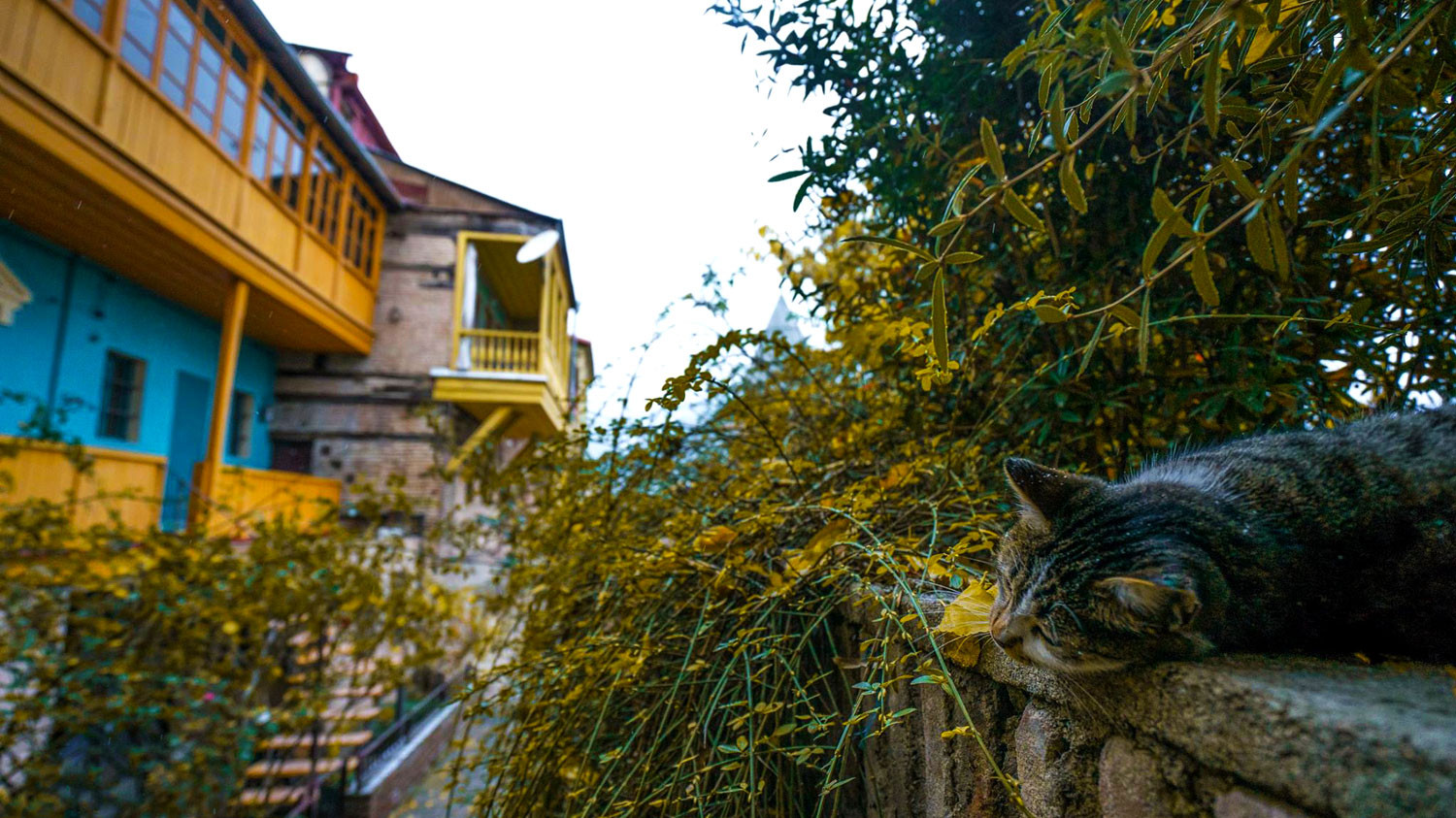 Деревянные дома в Тбилиси